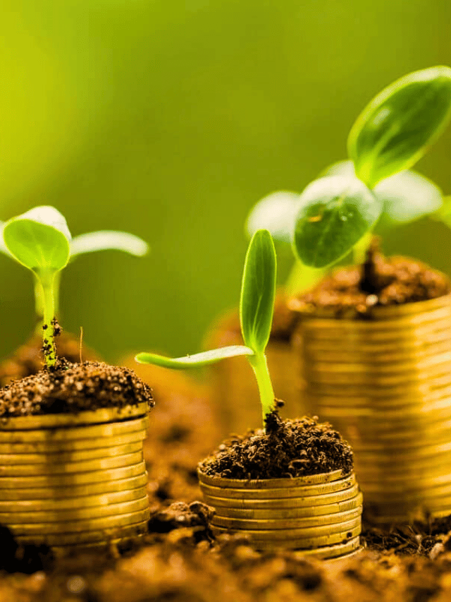 O que é LCA (Letra de Crédito do Agronegócio) SobreMoney Mercados Investimentos Economia Finanças Pessoais Business Capa Web Stories