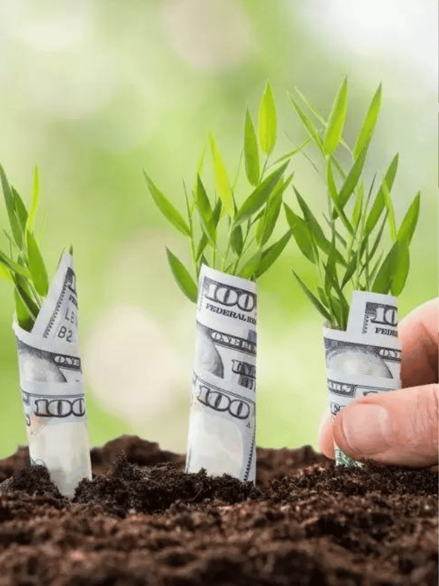 O que são CRAs (Certificados de Recebíveis do Agronegócio) SobreMoney Mercados Investimentos Economia Finanças Pessoais Business Capa Web Stories
