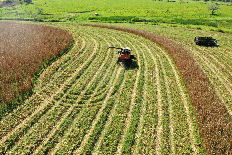 Como os Fiagros da XP bateram 40 por cento de lucro, Credtimes Consórcio Empréstimo Seguros Finanças Financiamento investimentos dinheiro